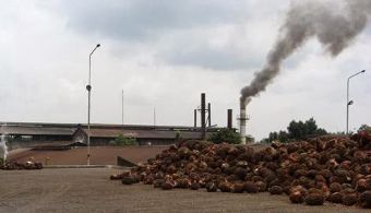 Biomassa Riau jadi sumber listrik terbesar Sumatera