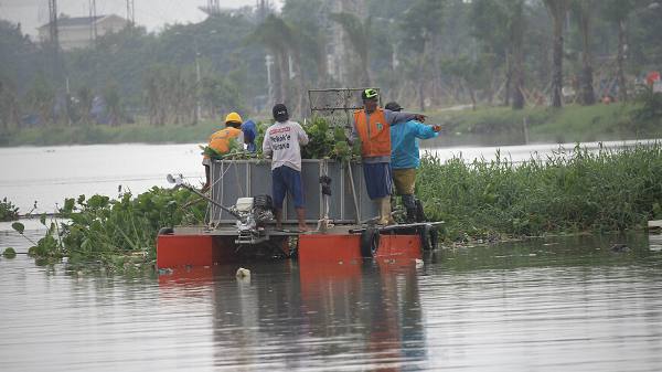 Waduk Rawa Kendal