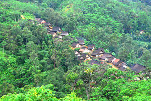 Perkampungan Baduy di tengah hutan