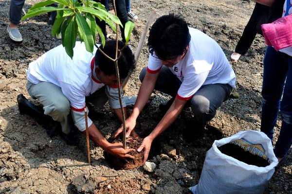 Masahito Matsumura melakukan penanaman di Sharp Mini Forest