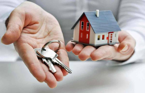 tips properti