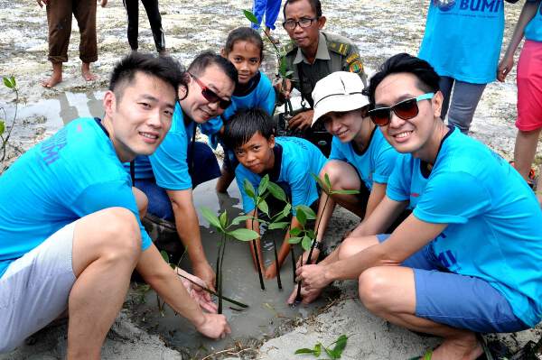 Penanaman pohon mangrove