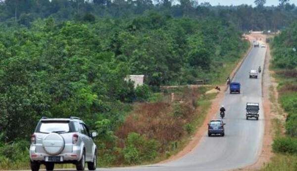 Jalan Trans Kalimantan