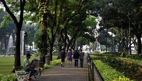Taman Cattleya Ilustrasi : Taman Cattleya