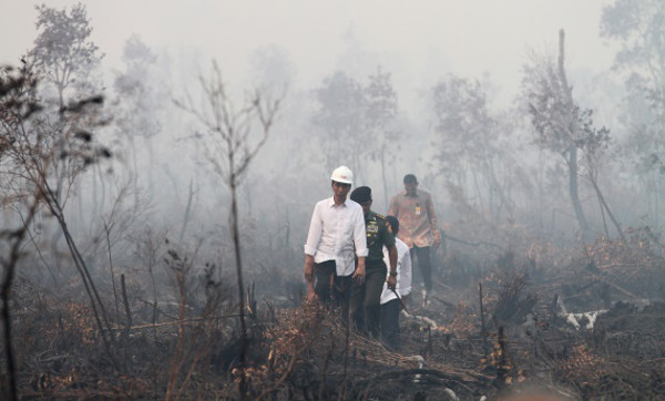 kebakaran lahan Ilustrasi : Presiden Jokowi tinjau kebakaran lahan di Sumatera