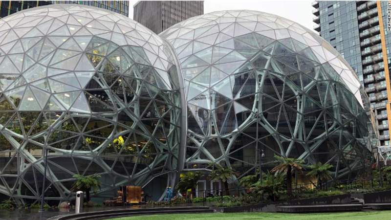 hutan tropis kantor amazon (Foto: cdn.turner)