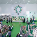 green zone lego house