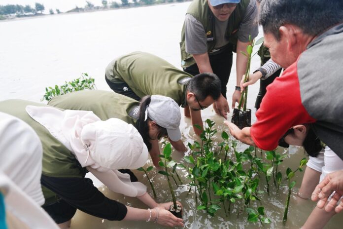 Penanaman bibit Mangrove oleh karyawan Astra Property di Pulau Pramuka, Kepulauan Seribu(1)